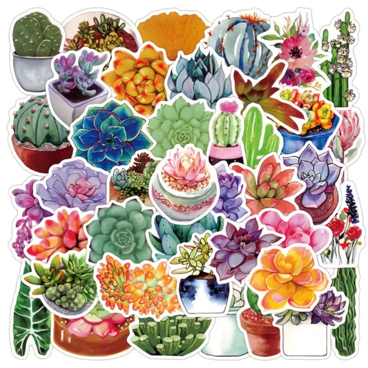 50 Succulent Stickers